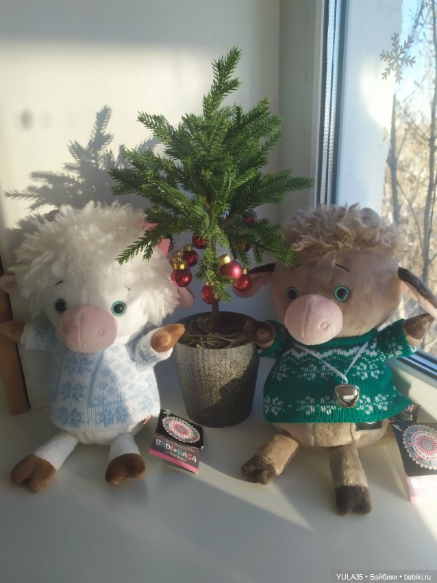 Пара: бычок Тарасик и коровка Ася