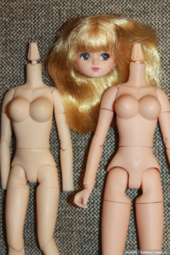 Голова Ликки компании Такара (фото 6)