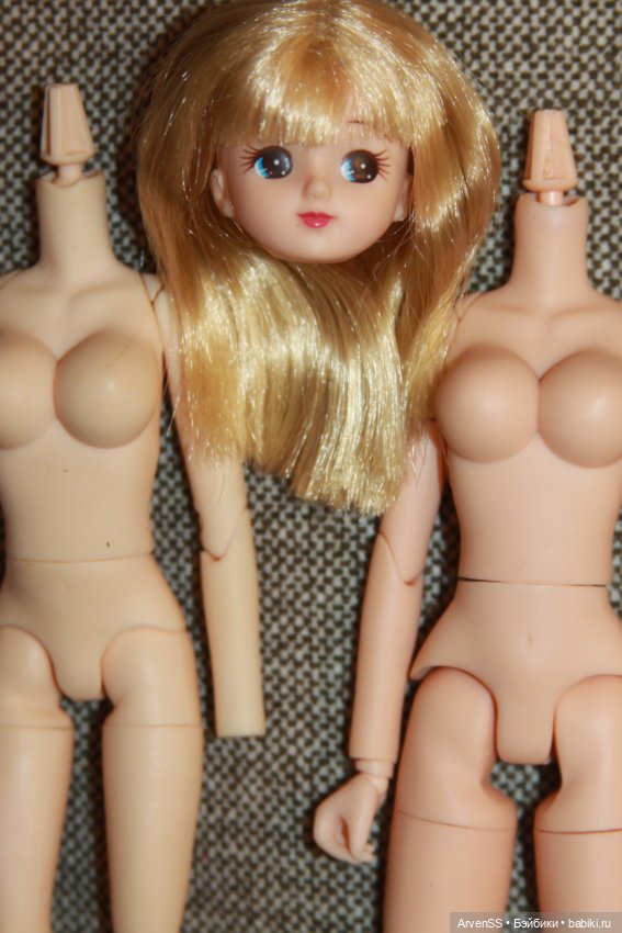 Голова Ликки компании Такара (фото 7)