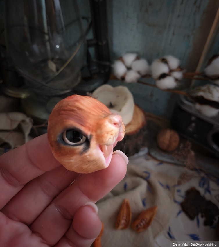 с м носиков. красивый нос. с м носиков. нос кота макро. с м носиков.