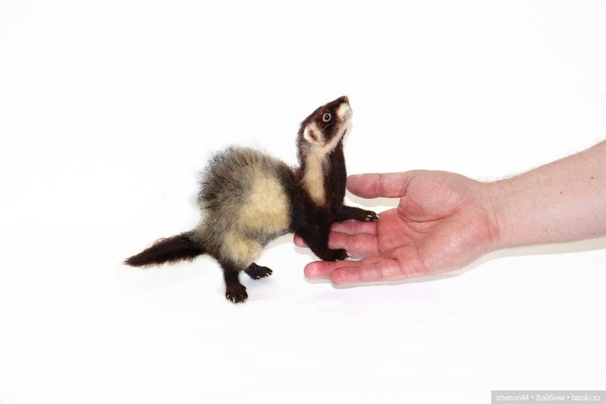 Хорек — Авторские игрушки (фото 5)