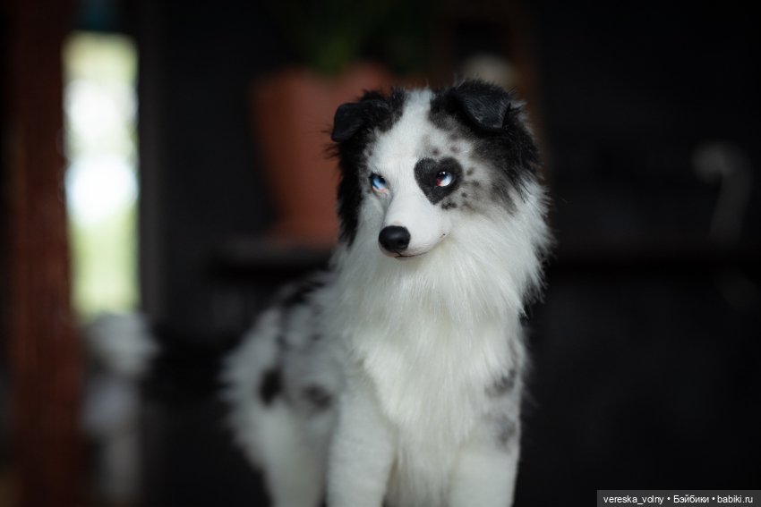 Кукла БЖД (BJD) - Бордер колли для кукол формата SD купить в Шопике ...