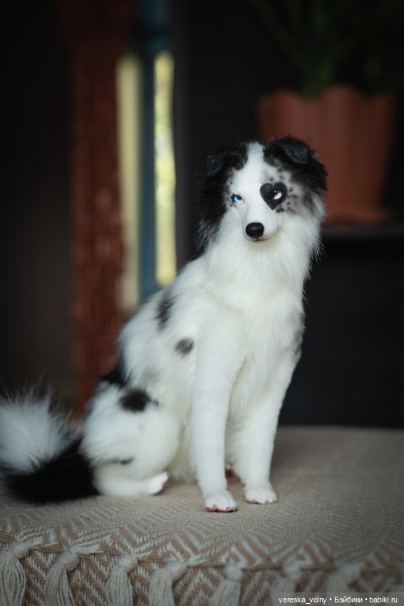 Кукла БЖД (BJD) - Бордер колли для кукол формата SD купить в Шопике ...