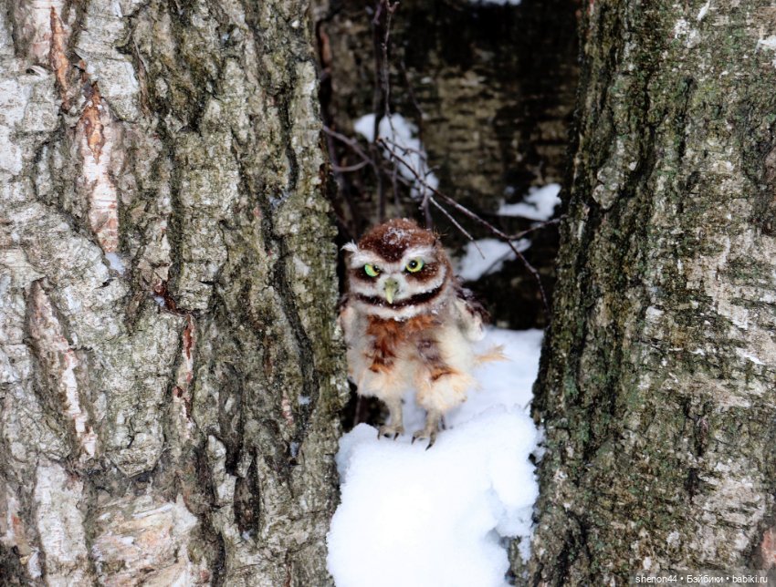 Воробьиный сыч — Авторские игрушки (фото 6)