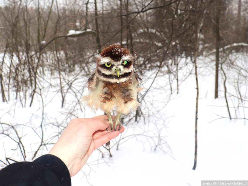 Воробьиный сыч — Авторские игрушки (фото 4)