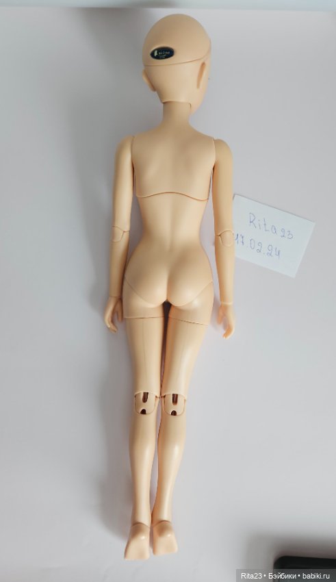 Cecile JID Iplehous — Куклы BJD (фото 2)