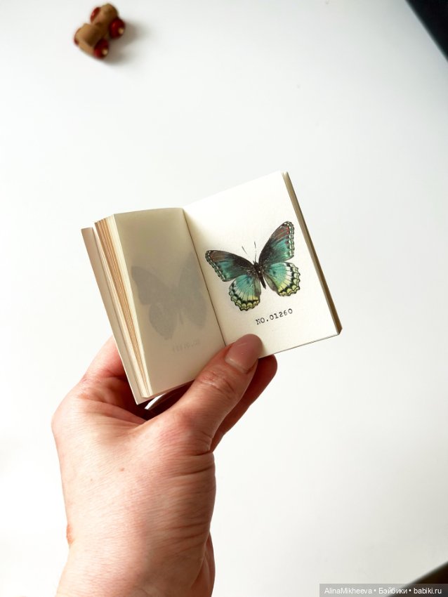 Книги для кукол и румбоксов с красивыми иллюстрациями, 1/4, 1/6 (фото 6)