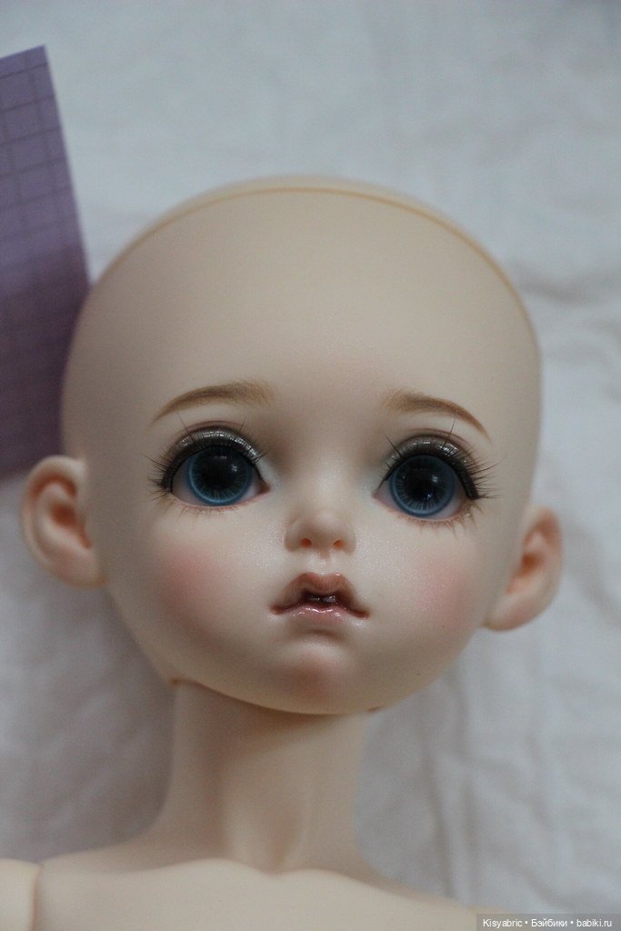 Продам Rosen Lied Holiday's Child ZeZe (фото 5)