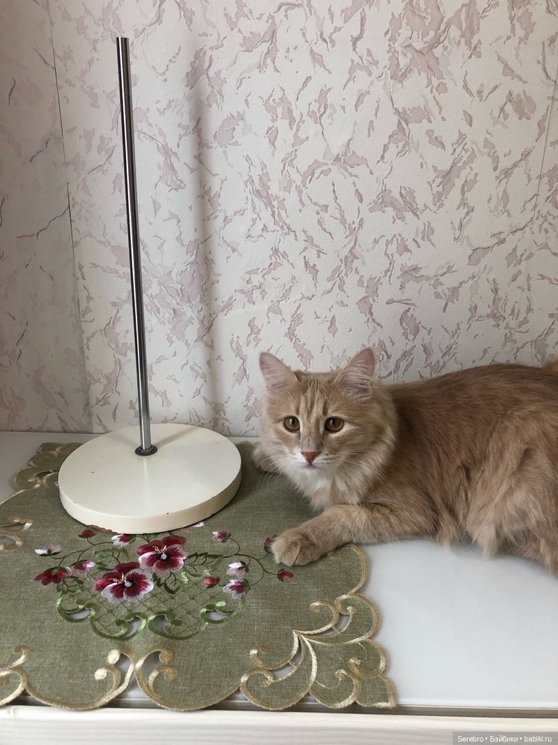 Стенд для кукол Hildegard Gunzel (фото 2)