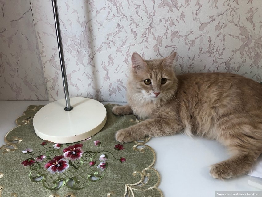 Стенд для кукол Hildegard Gunzel (фото 7)