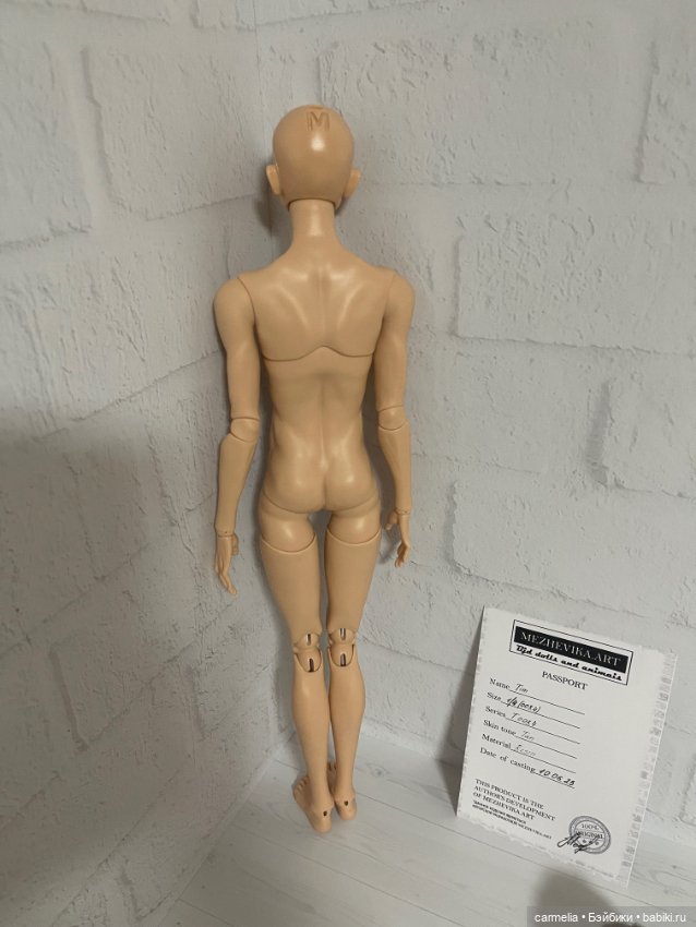 Парень 1/4 межевика 1 тип тела (фото 4)