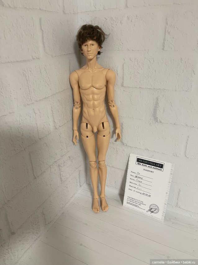 Парень 1/4 межевика 1 тип тела (фото 7)