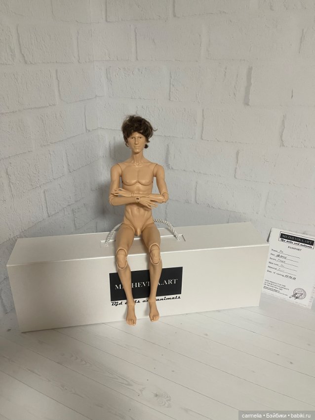 Парень 1/4 межевика 1 тип тела (фото 2)