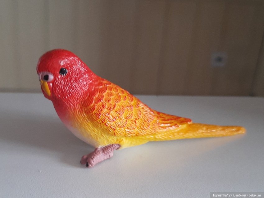Попугайчики — Миниатюра для кукол (фото 5)