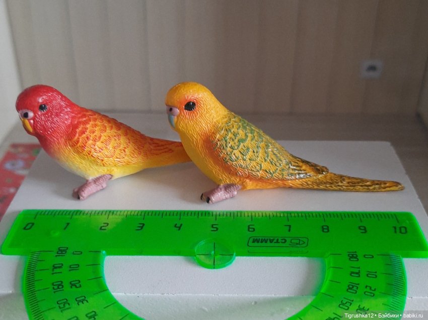 Попугайчики — Миниатюра для кукол (фото 7)