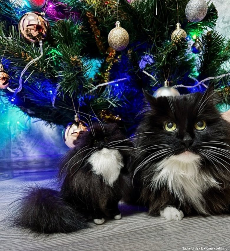 Портретная игрушка по фото котика/собаки (фото 6)