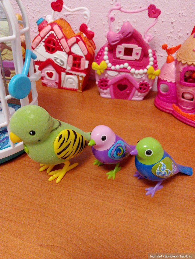 Клетка с поющими птичками