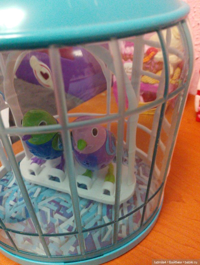 Клетка с поющими птичками (фото 2)