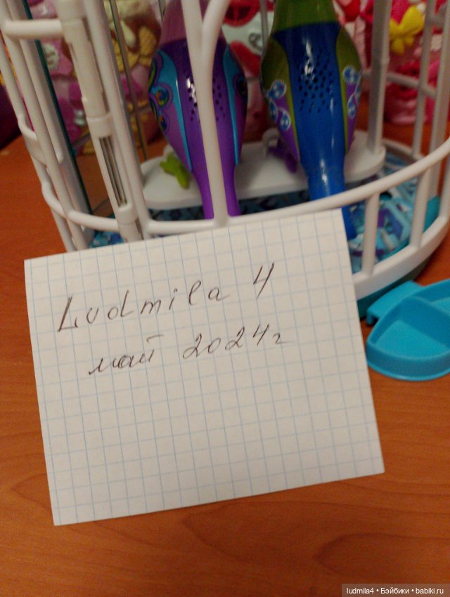 Клетка с поющими птичками (фото 4)