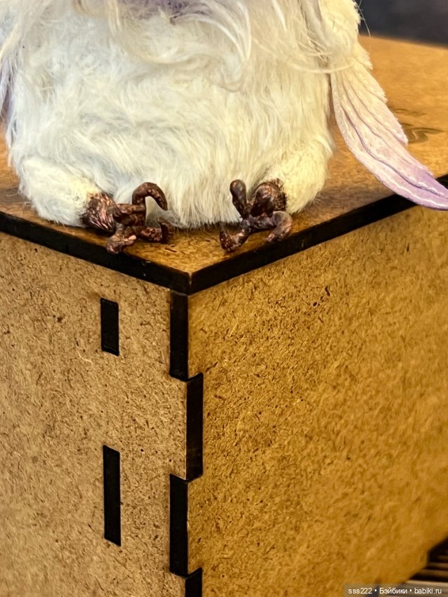 Попугай Светланы Стахеевой (фото 5)