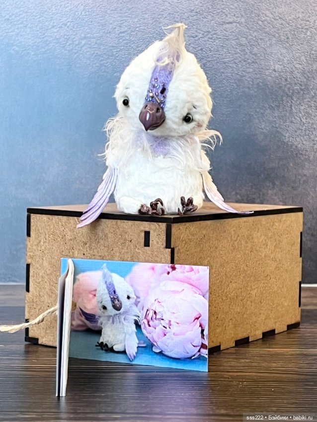 Попугай Светланы Стахеевой (фото 4)