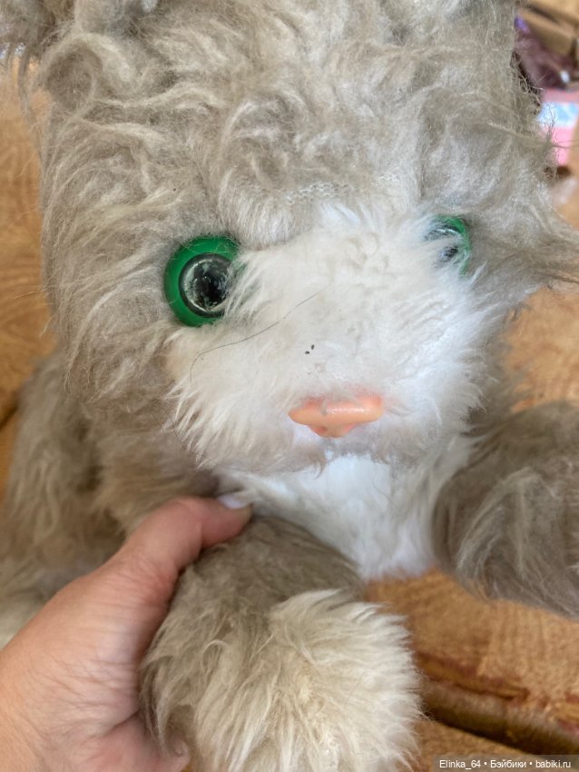 Большой кот СССР, очень редкий