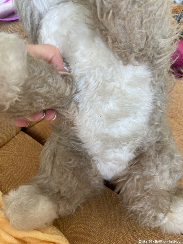 Большой кот СССР, очень редкий (фото 2)