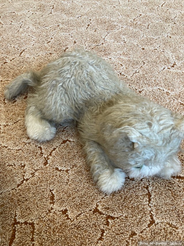 Большой кот СССР, очень редкий (фото 6)