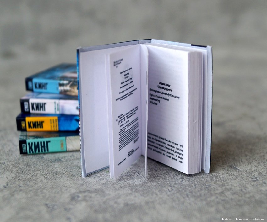 Книги Стивена Кинга в масштабе 1:6 (фото 4)