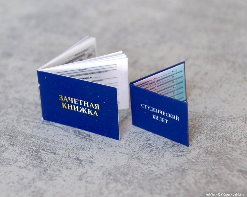 Набор студенческих документов (масштаб 1:6) (фото 3)