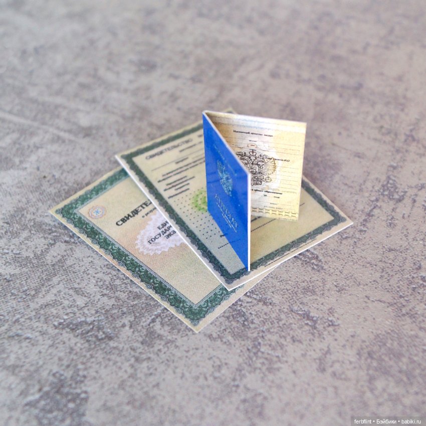 Набор студенческих документов (масштаб 1:6) (фото 2)