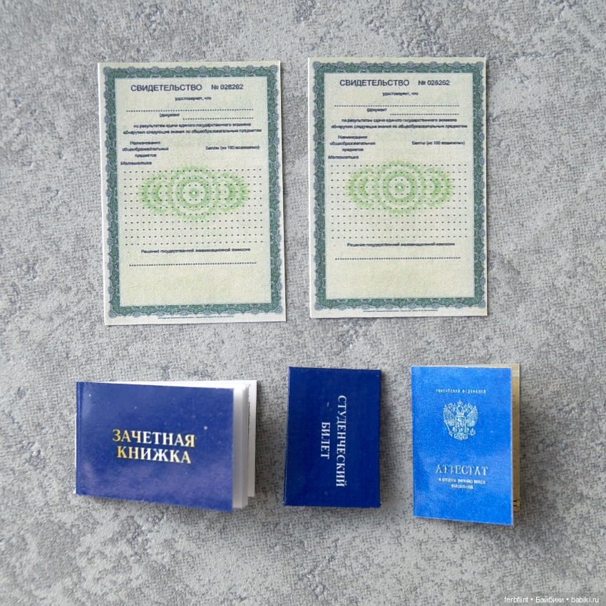 Набор студенческих документов (масштаб 1:6) (фото 4)