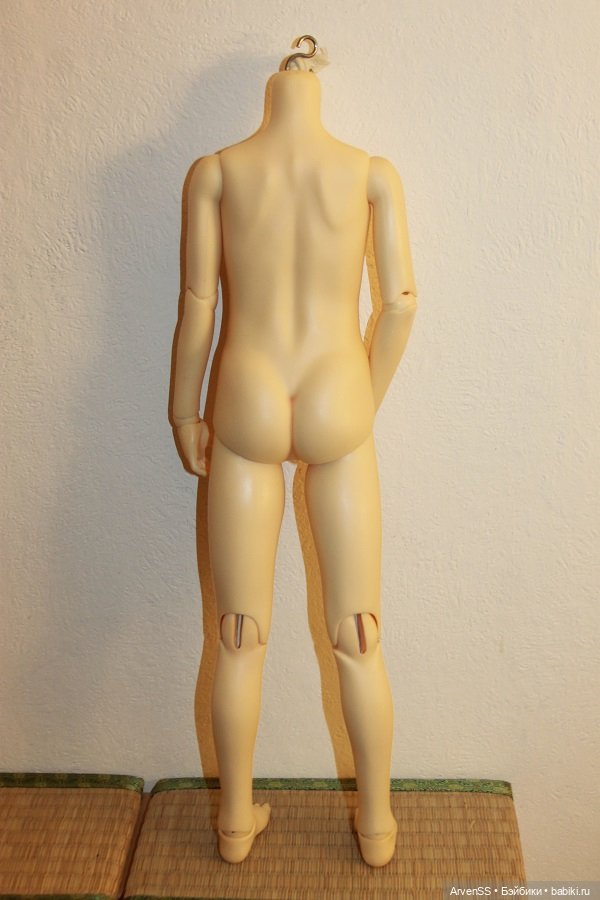 Подростковое тело Volks SD B-04 в одном блоке (SD10) (фото 2)