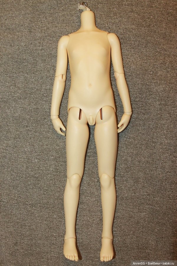 Подростковое тело Volks SD B-04 в одном блоке (SD10) (фото 3)