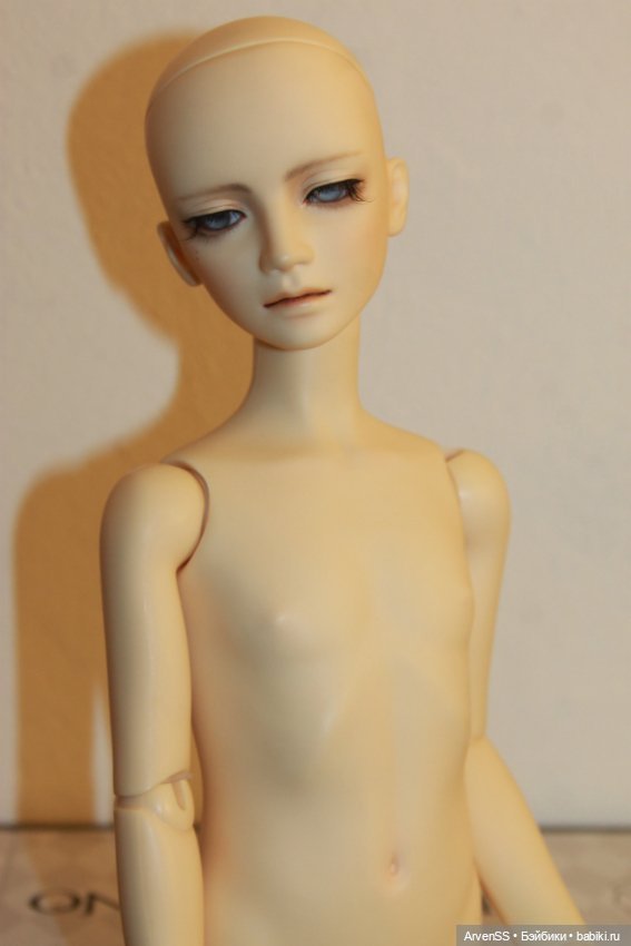 Подростковое тело Volks SD B-04 в одном блоке (SD10) (фото 9)