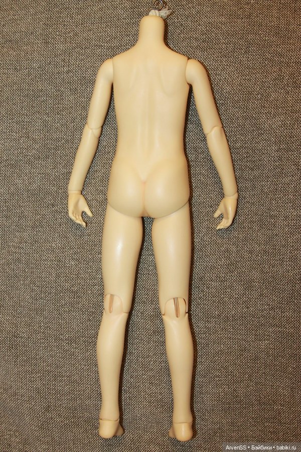 Подростковое тело Volks SD B-04 в одном блоке (SD10) (фото 4)