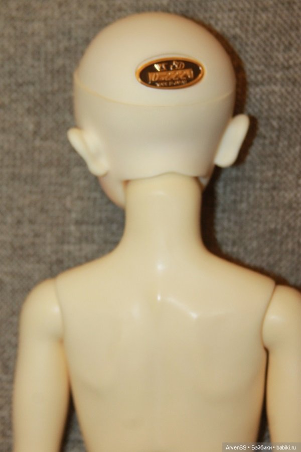 Парень Volks FCS F-17 на теле SD13LL (фото 9)