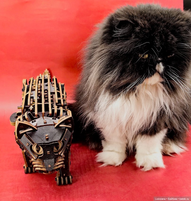 Чёрный Кот деревянный — Игрушки для детей