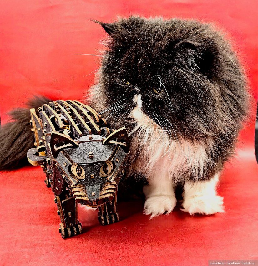 Чёрный Кот деревянный — Игрушки для детей (фото 7)