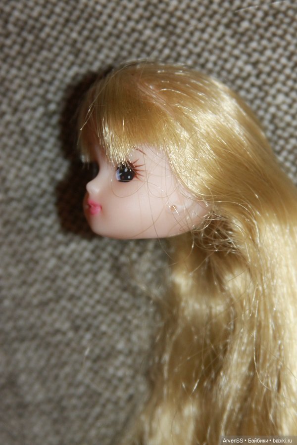 Голова "прозрачной" Ликки компании Такара (фото 5)