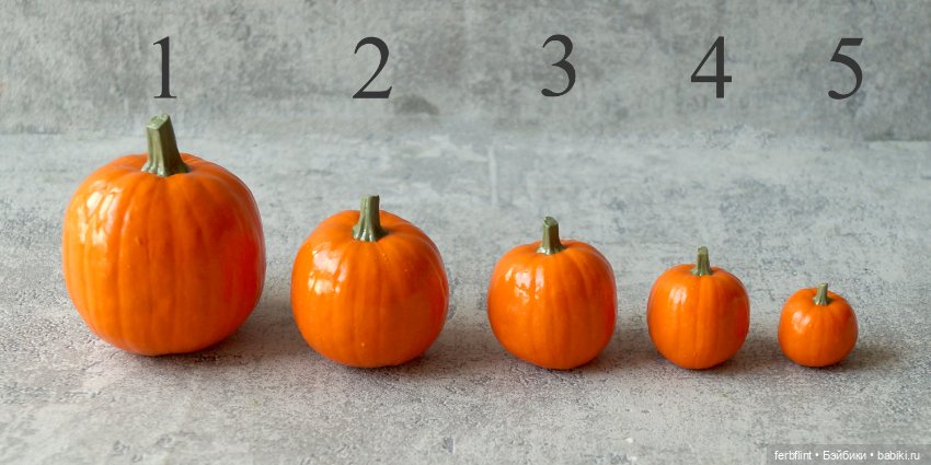 Набор "Тыквы" в масштабе 1:6 (фото 4)