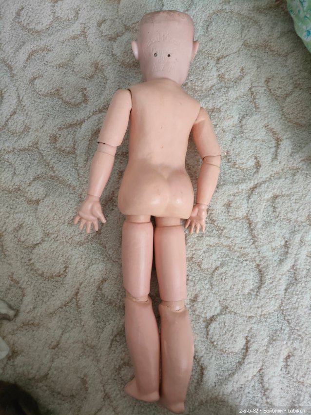 Большая красивая девочка Марсель (фото 2)