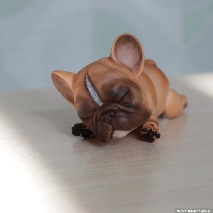 Французский бульдог с тремя мордочками (фото 5)