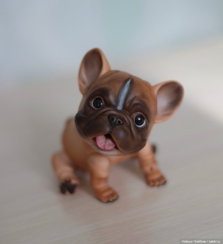 Французский бульдог с тремя мордочками
