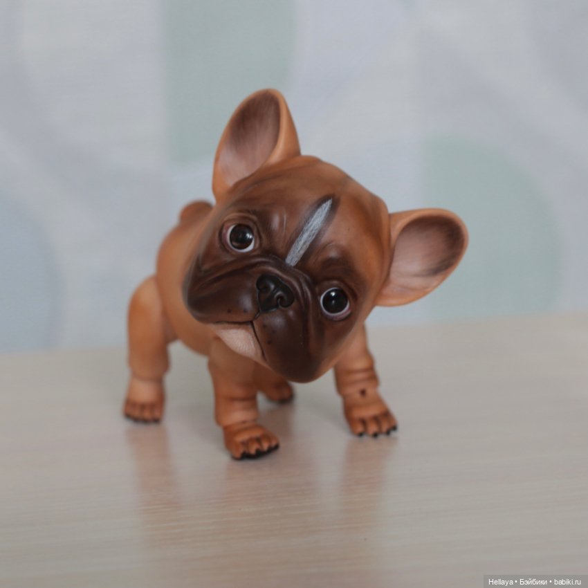 Французский бульдог с тремя мордочками (фото 2)