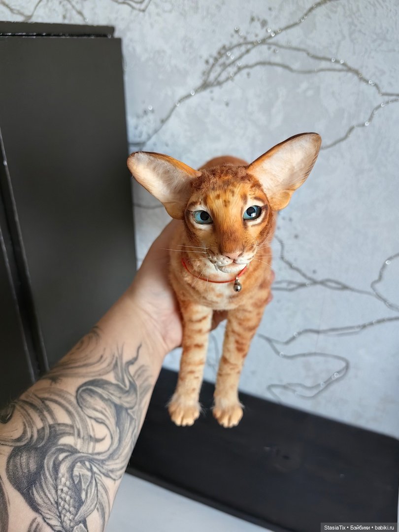 Продам кота автор Александра Ланик (фото 4)