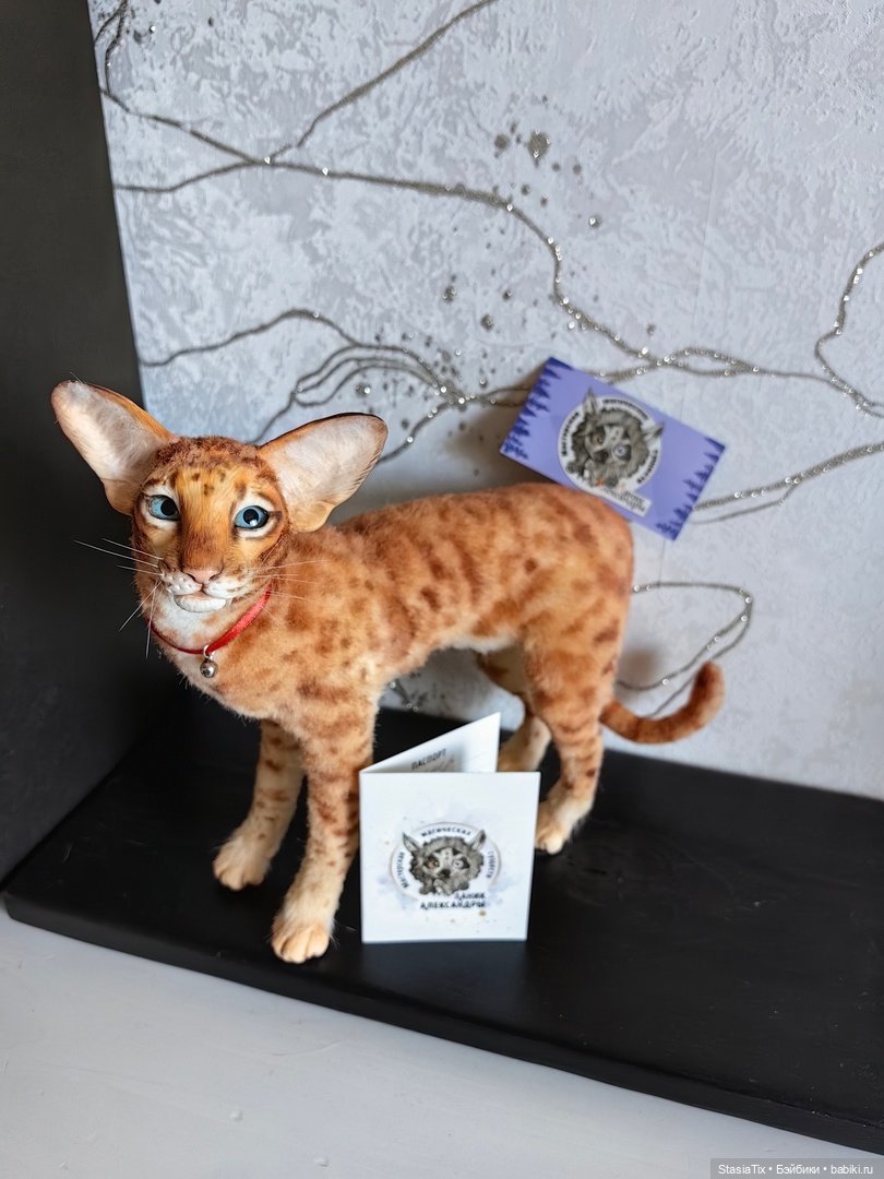Продам кота автор Александра Ланик (фото 2)