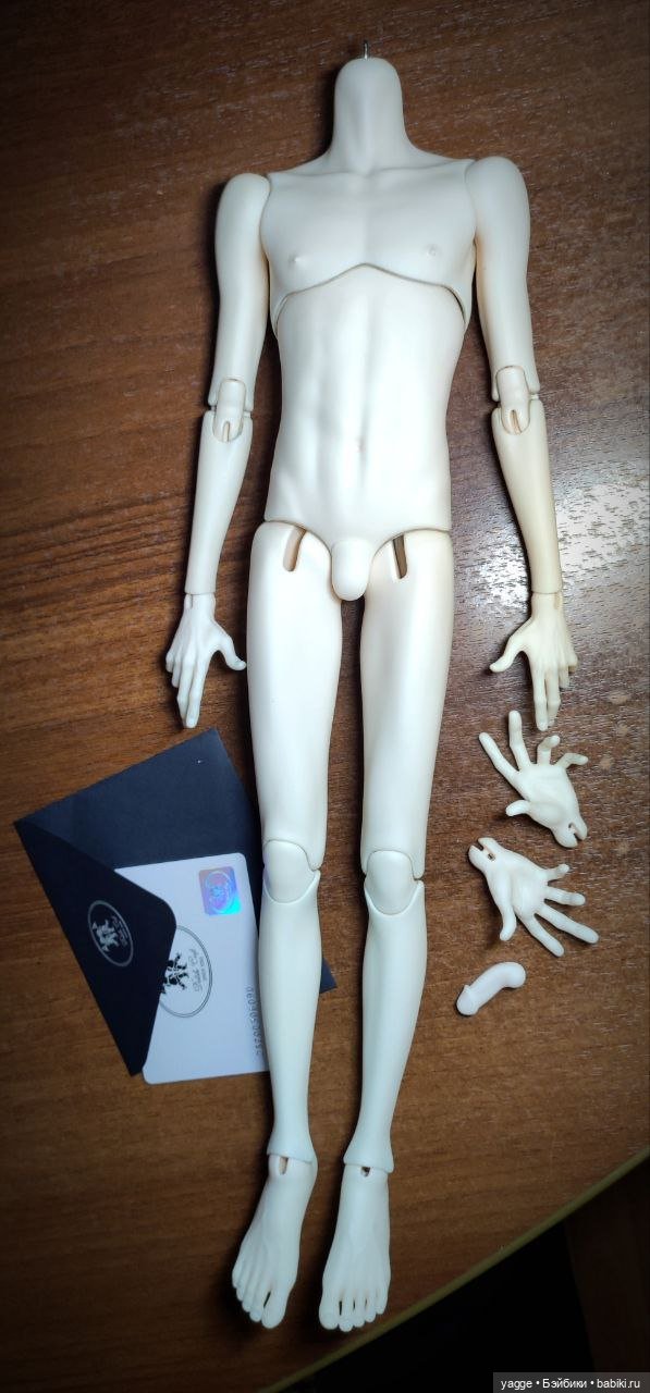 Мужское тело. DollsheCraft (44cm) (фото 4)