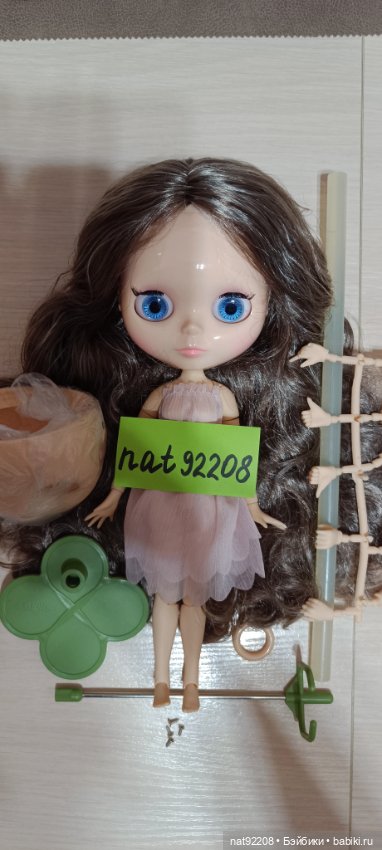 Кукла Блайз ( Blythe),ТБЛ (фото 2)
