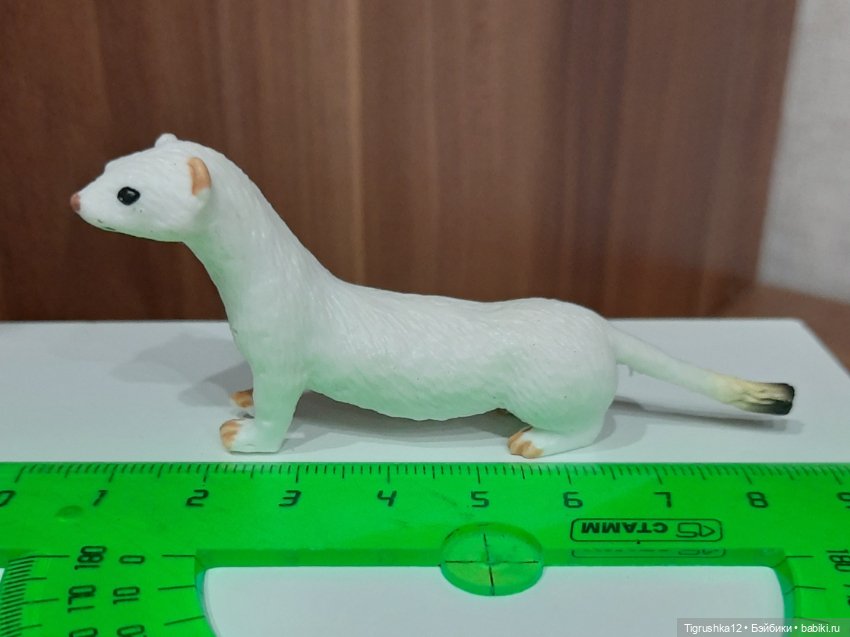 Хорёк — Миниатюра для кукол (фото 8)